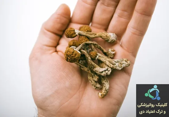 قارچ سیلوسابین
