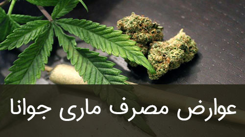 عوارض مصرف ماری جوانا