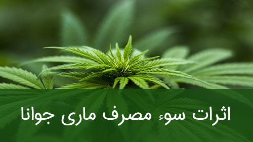 اثرات سوء مصرف ماری جوانا