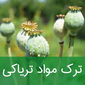 ترک مواد تریاکی