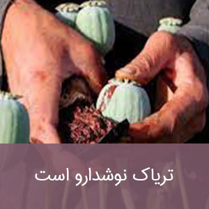 تریاک نوشدارو است