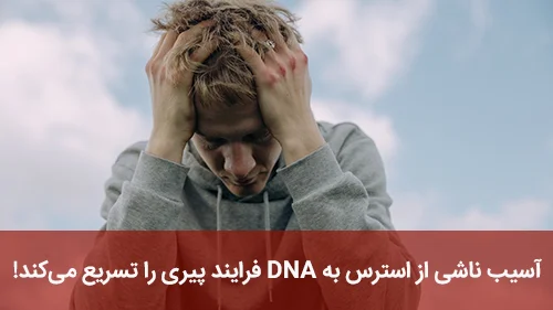آسیب ناشی از استرس به DNA فرایند پیری را تسریع می‌کند!